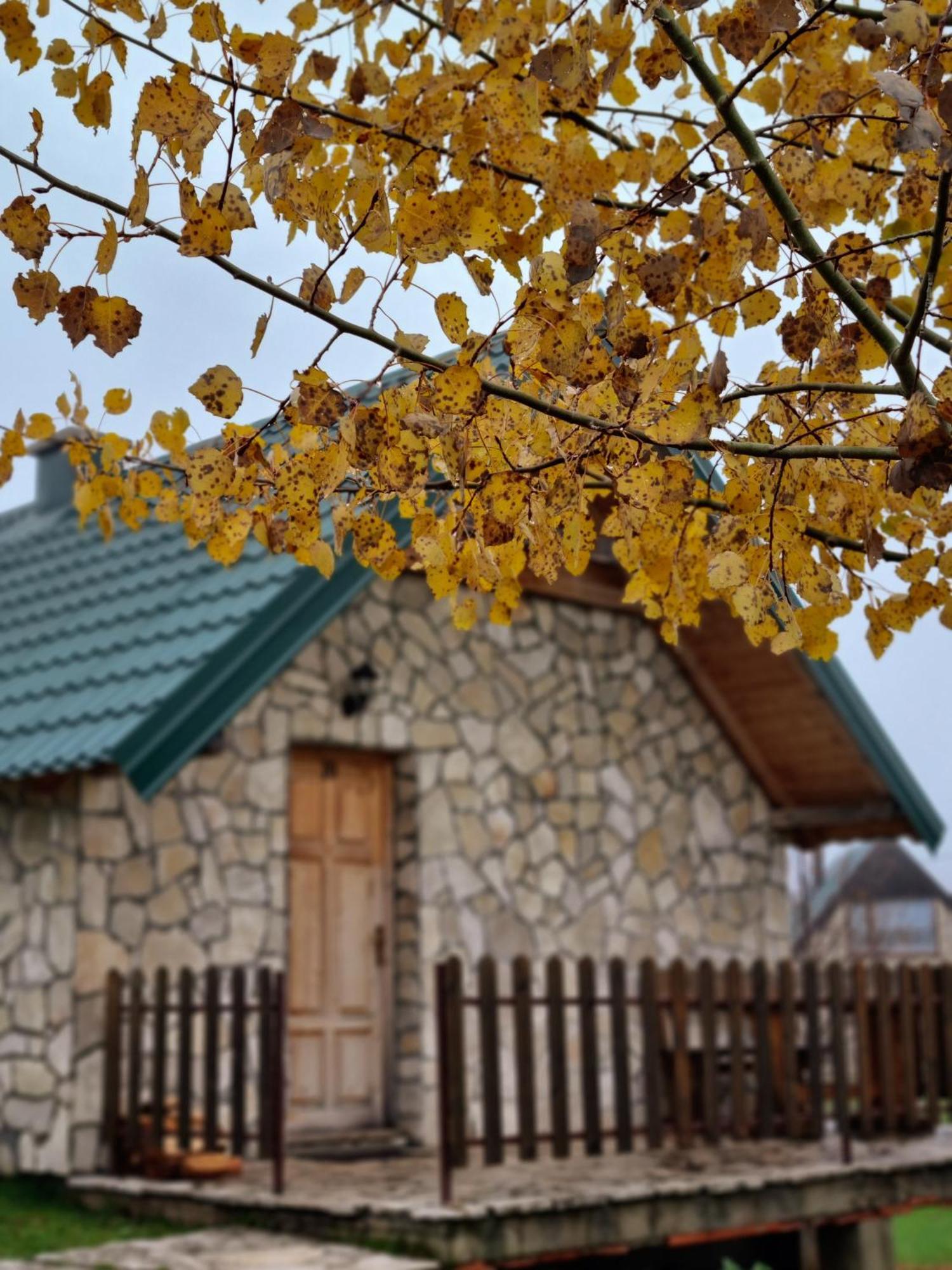 Вілла Etno Selo Izlazak Rudinice Номер фото